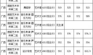 广西民族师范学院分数线