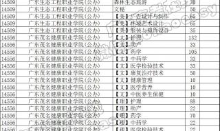 顺德职业技术学院怎么样