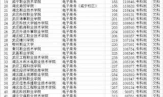 武汉专科院校排名及分数线